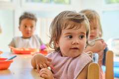 Creche-la-p_tite-souris-verte_285