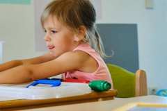 Creche-la-p_tite-souris-verte_304